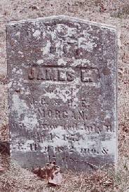 James L Morgan